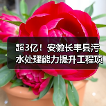 超3亿!安徽长丰县污水处理能力提升工程项目招标(图4) 超3亿!安徽长丰县污水处理能力提升工程项目招标(图4)
