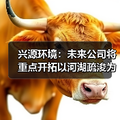 兴源环境:未来公司将重点开拓以河湖疏浚为代表的环境工程业务(图2) 兴源环境:未来公司将重点开拓以河湖疏浚为代表的环境工程业务(图2)