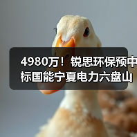 4980万!锐思环保预中标国能宁夏电力六盘山电厂2×1000MW机组扩建工程脱硫废水零排放系统EPC(图3) 4980万!锐思环保预中标国能宁夏电力六盘山电厂2×1000MW机组扩建工程脱硫废水零排放系统EPC(图3)