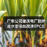 广东公司肇庆电厂脱硫废水零排放改造EPC总承包工程2次招标(图2) 广东公司肇庆电厂脱硫废水零排放改造EPC总承包工程2次招标(图2)