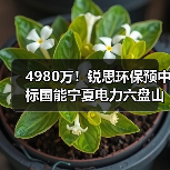 4980万!锐思环保预中标国能宁夏电力六盘山电厂2×1000MW机组扩建工程脱硫废水零排放系统EPC(图1) 4980万!锐思环保预中标国能宁夏电力六盘山电厂2×1000MW机组扩建工程脱硫废水零排放系统EPC(图1)