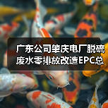 广东公司肇庆电厂脱硫废水零排放改造EPC总承包工程2次招标(图4) 广东公司肇庆电厂脱硫废水零排放改造EPC总承包工程2次招标(图4)