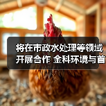 将在市政水处理等领域开展合作 金科环境与首钢国际工程公司座谈交流(图1) 将在市政水处理等领域开展合作 金科环境与首钢国际工程公司座谈交流(图1)