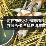 将在市政水处理等领域开展合作 金科环境与首钢国际工程公司座谈交流(图3) 将在市政水处理等领域开展合作 金科环境与首钢国际工程公司座谈交流(图3)