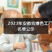 2023年安徽省绿色工厂名单公示(图4) 2023年安徽省绿色工厂名单公示(图4)
