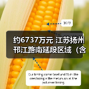 约6737万元 江苏扬州邗江路南延段区域(含柳锌地块)土壤修复及管控工程招标!(图2) 约6737万元 江苏扬州邗江路南延段区域(含柳锌地块)土壤修复及管控工程招标!(图2)
