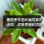 重庆市生态环境局发布通知:这些类型的项目经认定后可在评标时采用综合评估法(图4) 重庆市生态环境局发布通知:这些类型的项目经认定后可在评标时采用综合评估法(图4)