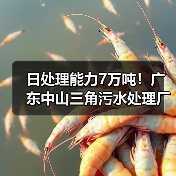 日处理能力7万吨!广东中山三角污水处理厂三期扩容工程试运营(图1) 日处理能力7万吨!广东中山三角污水处理厂三期扩容工程试运营(图1)