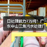 日处理能力7万吨!广东中山三角污水处理厂三期扩容工程试运营(图4) 日处理能力7万吨!广东中山三角污水处理厂三期扩容工程试运营(图4)