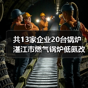 共13家企业20台锅炉 湛江市燃气锅炉低氮改造补贴公示(第一批)(图4) 共13家企业20台锅炉 湛江市燃气锅炉低氮改造补贴公示(第一批)(图4)