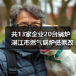 共13家企业20台锅炉 湛江市燃气锅炉低氮改造补贴公示(第一批)(图2) 共13家企业20台锅炉 湛江市燃气锅炉低氮改造补贴公示(第一批)(图2)