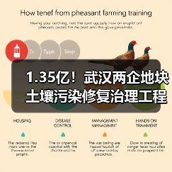 1.35亿!武汉两企地块土壤污染修复治理工程设计施工一体化招标!(图2) 1.35亿!武汉两企地块土壤污染修复治理工程设计施工一体化招标!(图2)
