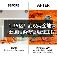 1.35亿!武汉两企地块土壤污染修复治理工程设计施工一体化招标!(图3) 1.35亿!武汉两企地块土壤污染修复治理工程设计施工一体化招标!(图3)