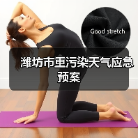 潍坊市重污染天气应急预案(图4) 潍坊市重污染天气应急预案(图4)