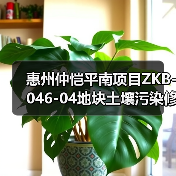 惠州仲恺平南项目ZKB-046-04地块土壤污染修复工程施工招标!(图1) 惠州仲恺平南项目ZKB-046-04地块土壤污染修复工程施工招标!(图1)