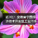 近3亿!安徽省宁国经济技术开发区工业污水处理提升工程EPCF项目开标(图2) 近3亿!安徽省宁国经济技术开发区工业污水处理提升工程EPCF项目开标(图2)