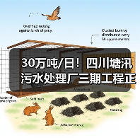 30万吨/日！四川塘汛污水处理厂三期工程正式进入通水调试阶段（图4）