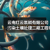 云南红云氯碱有限公司污染土壤处理二期工程EPC总承包招标!(图4) 云南红云氯碱有限公司污染土壤处理二期工程EPC总承包招标!(图4)