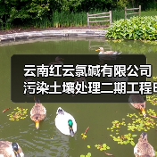 云南红云氯碱有限公司污染土壤处理二期工程EPC总承包招标!(图2) 云南红云氯碱有限公司污染土壤处理二期工程EPC总承包招标!(图2)