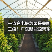 一省充电桩数量是美国三倍!广东新能源汽车凭什么这么牛(图4) 一省充电桩数量是美国三倍!广东新能源汽车凭什么这么牛(图4)