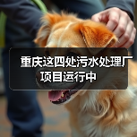 重庆这四处污水处理厂项目运行中(图4) 重庆这四处污水处理厂项目运行中(图4)