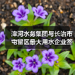 漳河水务集团与长治市屯留区最大用水企业签订供水合同(图4) 漳河水务集团与长治市屯留区最大用水企业签订供水合同(图4)