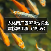 太化南厂区020地块土壤修复工程(1标段)招标公告(图2) 太化南厂区020地块土壤修复工程(1标段)招标公告(图2)