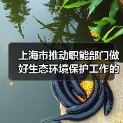 上海市推动职能部门做好生态环境保护工作的实施意见(图4) 上海市推动职能部门做好生态环境保护工作的实施意见(图4)