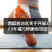 西藏自治区关于开展2023年减污降碳协同增效典型案例征集活动的通知(图2) 西藏自治区关于开展2023年减污降碳协同增效典型案例征集活动的通知(图2)