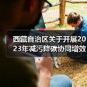西藏自治区关于开展2023年减污降碳协同增效典型案例征集活动的通知(图4) 西藏自治区关于开展2023年减污降碳协同增效典型案例征集活动的通知(图4)