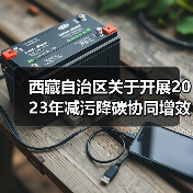 西藏自治区关于开展2023年减污降碳协同增效典型案例征集活动的通知(图3) 西藏自治区关于开展2023年减污降碳协同增效典型案例征集活动的通知(图3)