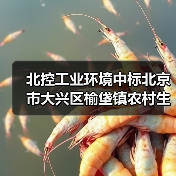 北控工业环境中标北京市大兴区榆垡镇农村生活污水生态治理工程项目（图3）