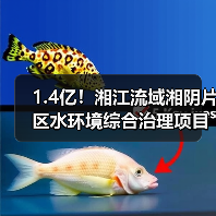 1.4亿！湘江流域湘阴片区水环境综合治理项目工程总承包招标（图4）