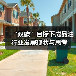 “双碳”目标下成品油行业发展现状与思考（图4）