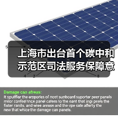 上海市出台首个碳中和示范区司法服务保障意见(图2) 上海市出台首个碳中和示范区司法服务保障意见(图2)