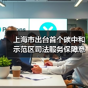 上海市出台首个碳中和示范区司法服务保障意见(图4) 上海市出台首个碳中和示范区司法服务保障意见(图4)