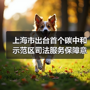 上海市出台首个碳中和示范区司法服务保障意见(图1) 上海市出台首个碳中和示范区司法服务保障意见(图1)