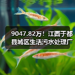 9047.82万！江西于都县城区生活污水处理厂网一体化建设项目工程总承包招标（图1）