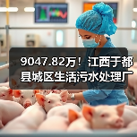 9047.82万！江西于都县城区生活污水处理厂网一体化建设项目工程总承包招标（图4）