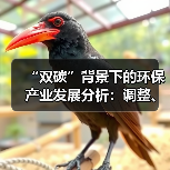 “双碳”背景下的环保产业发展分析:调整、挑战与要求(图1) “双碳”背景下的环保产业发展分析:调整、挑战与要求(图1)