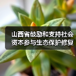 山西省鼓励和支持社会资本参与生态保护修复实施办法(图1) 山西省鼓励和支持社会资本参与生态保护修复实施办法(图1)