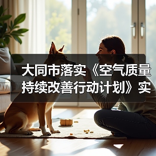 大同市落实《空气质量持续改善行动计划》实施方案(图4) 大同市落实《空气质量持续改善行动计划》实施方案(图4)