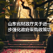 山东省财政厅关于进一步强化政府采购政策功能支持绿色低碳高质量发展的指导意见（图4）