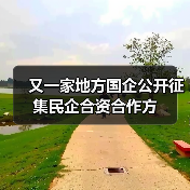 又一家地方国企公开征集民企合资合作方(图2) 又一家地方国企公开征集民企合资合作方(图2)