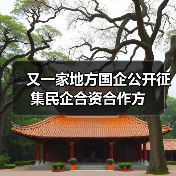 又一家地方国企公开征集民企合资合作方(图3) 又一家地方国企公开征集民企合资合作方(图3)