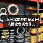 又一家地方国企公开征集民企合资合作方(图4) 又一家地方国企公开征集民企合资合作方(图4)