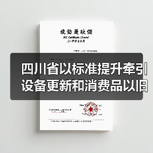 四川省以标准提升牵引设备更新和消费品以旧换新工作方案（图4）
