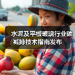 水泥及平板玻璃行业碳减排技术指南发布(图1) 水泥及平板玻璃行业碳减排技术指南发布(图1)