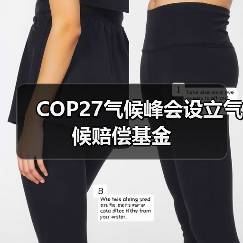 COP27气候峰会设立气候赔偿基金(图1) COP27气候峰会设立气候赔偿基金(图1)