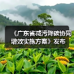 《广东省减污降碳协同增效实施方案》发布(图4) 《广东省减污降碳协同增效实施方案》发布(图4)